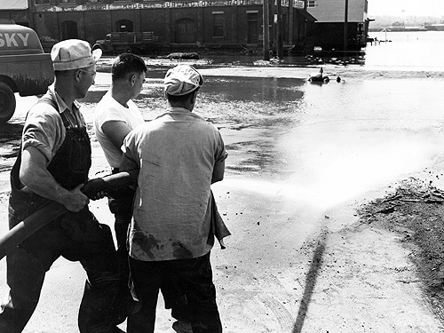 flood195115